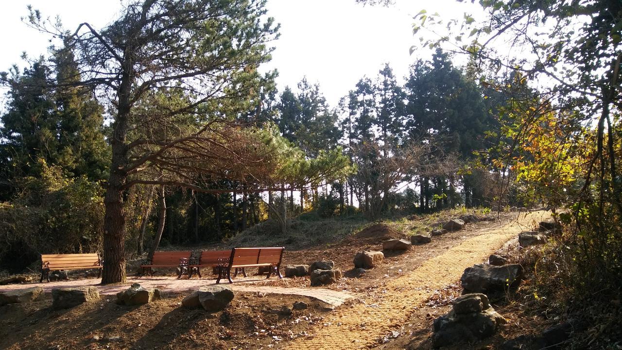 Jeju Youth Hostel Bagian luar foto