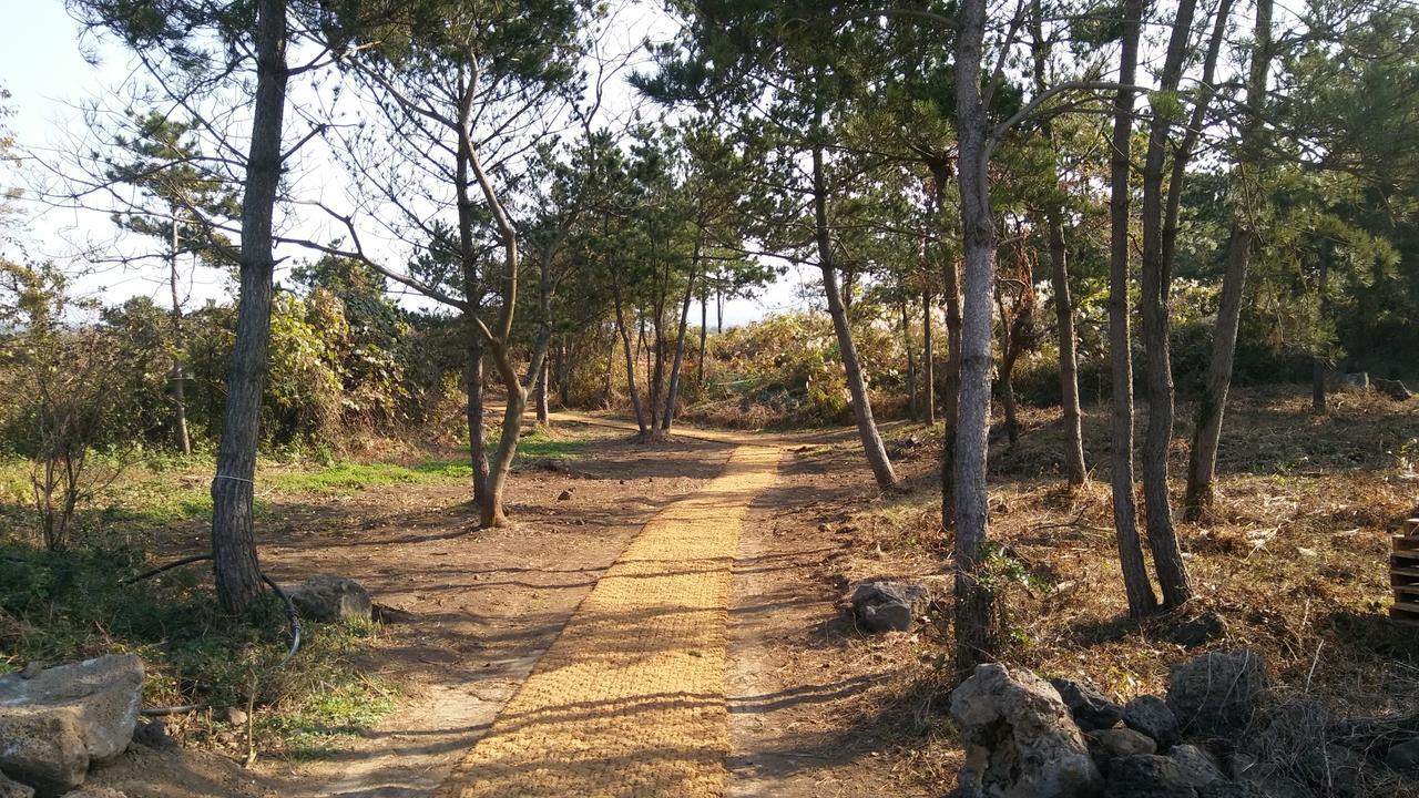 Jeju Youth Hostel Bagian luar foto