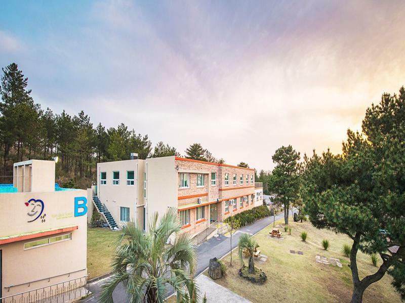 Jeju Youth Hostel Bagian luar foto